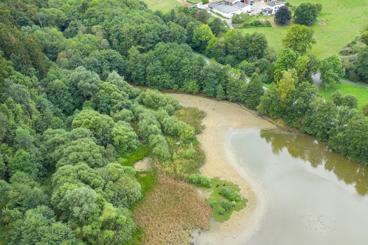 Tiergartenweiher Luft 3